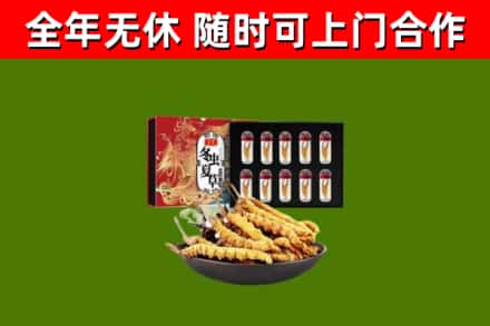 宜州区回收冬虫夏草价格